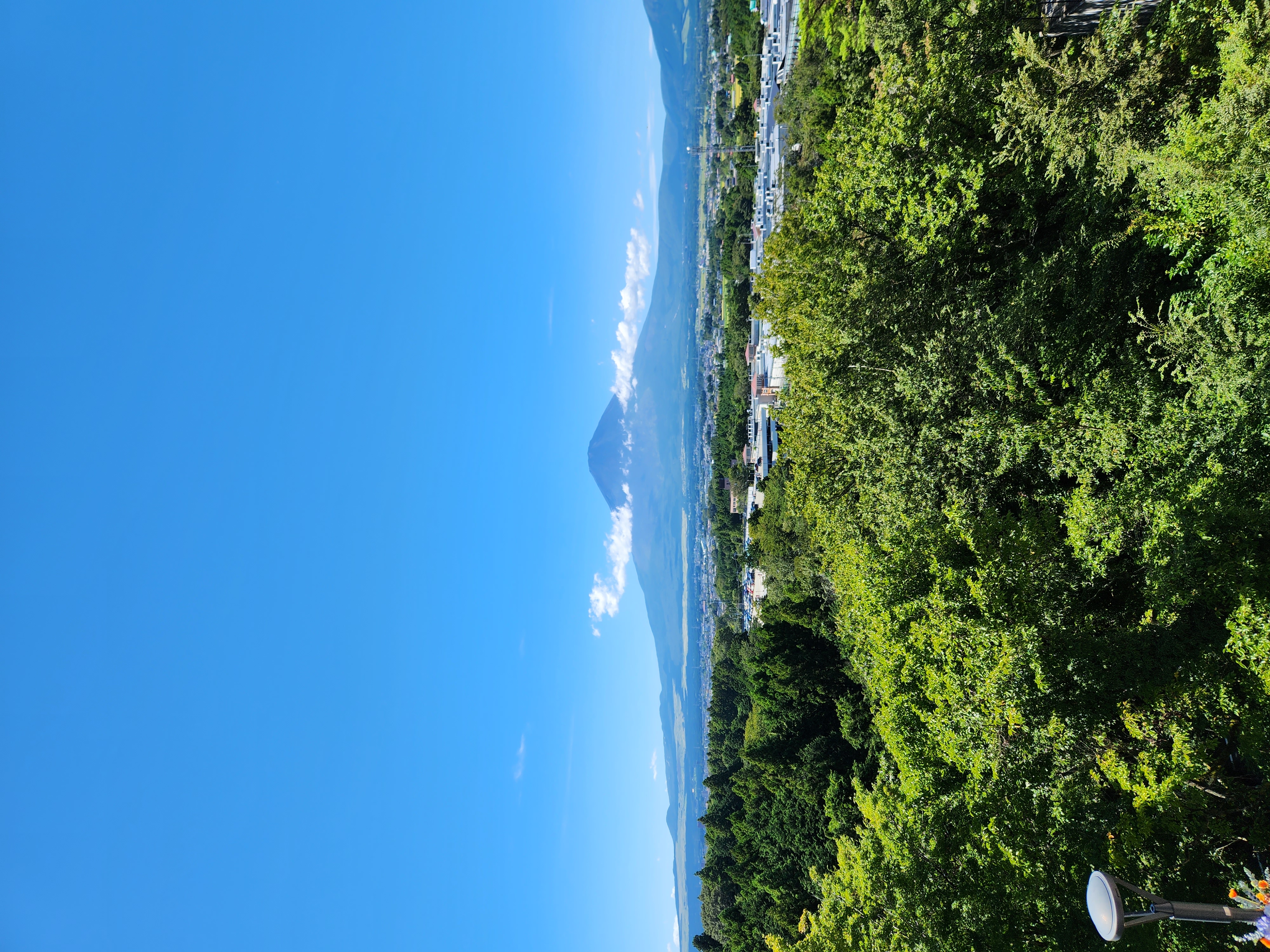 CAPTURING MEMORIES IN TOKYO!